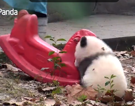 扒开腿灌牛奶拏调教微博