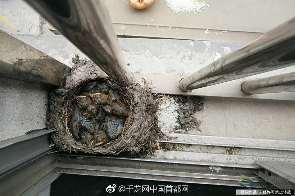 1080 大尺度私拍