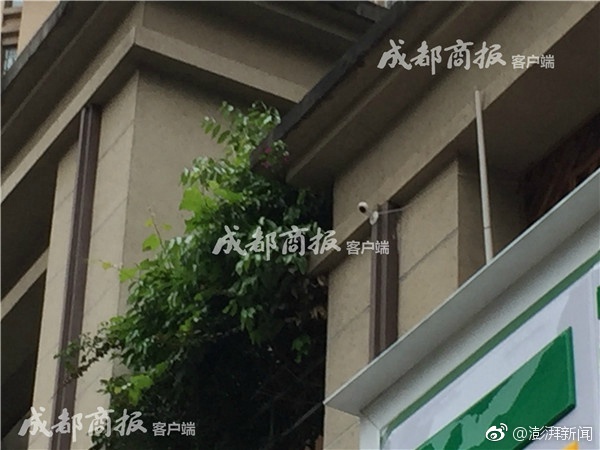 亚洲国产高清国产精品