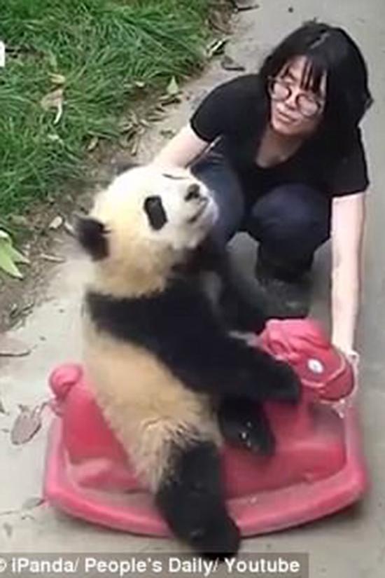 Weav 成人