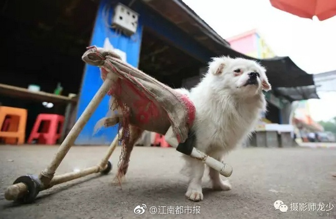 欧洲女人特黄大片