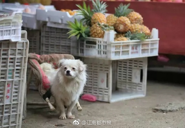 张柏芝自慰全部无打码