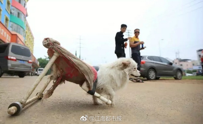 大桥未久无码