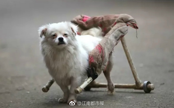 裸交    强交