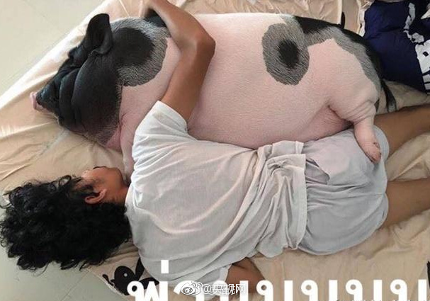 风流肥女大BBBBBB