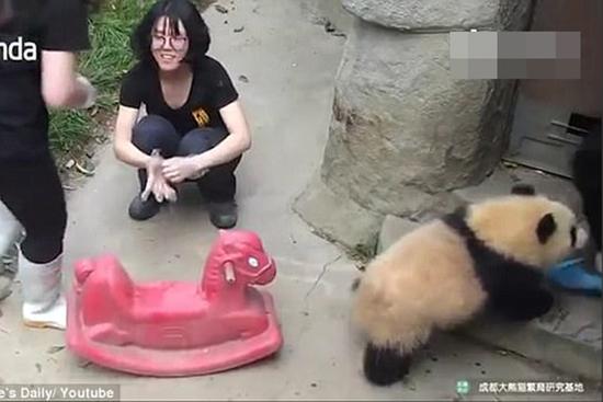 葫芦娃里不卖药