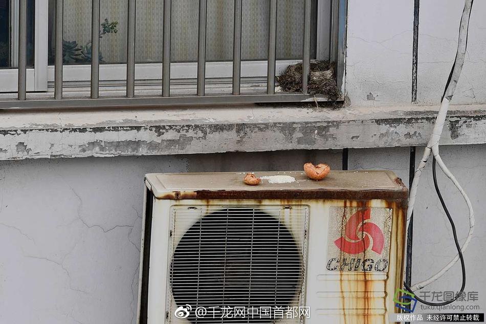 无套内谢小罗莉