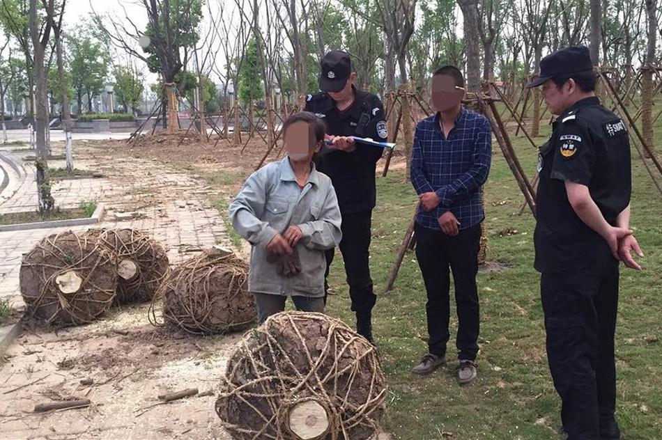 成 人片 黄 色 大 片