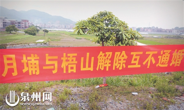 水谷葵