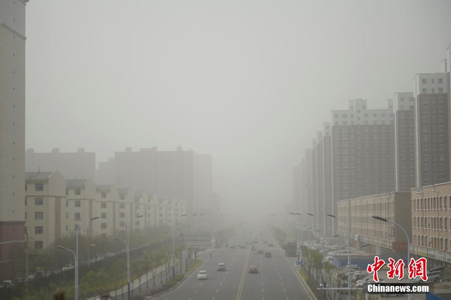 国产精品乱码一区二三区张津瑜