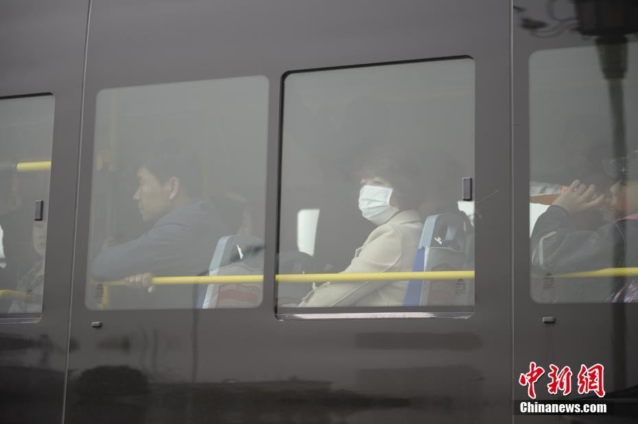 美女又爽 又黄 脱脱内内动漫