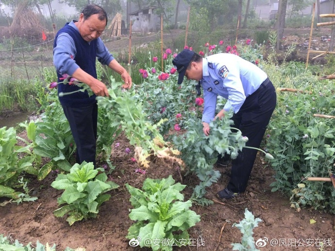 黄色亚洲