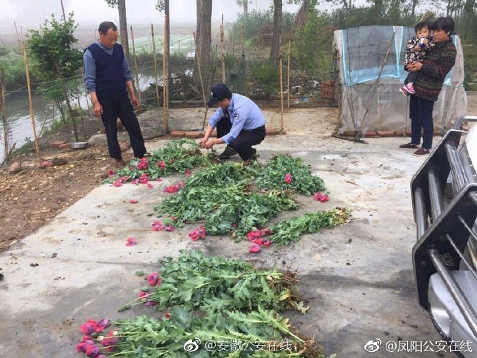 黄色网址免费