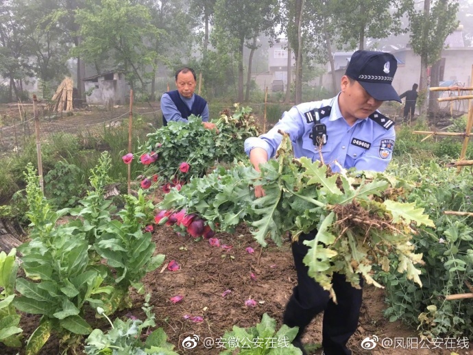 美女自喷水一级黄片免费版