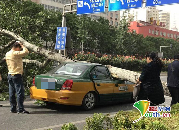 大吊尻逼网站