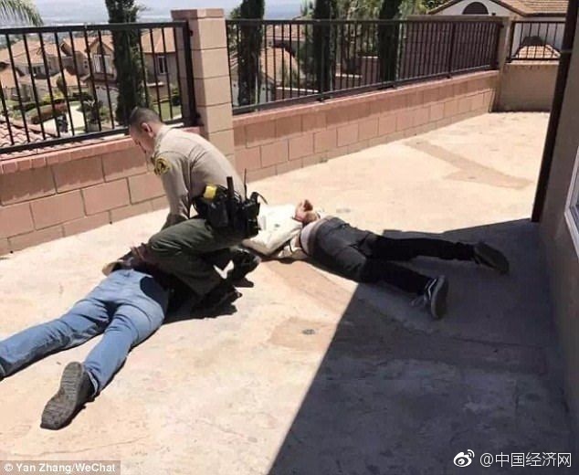 國產小青蛙
