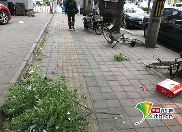 成人 色情 免费 电影