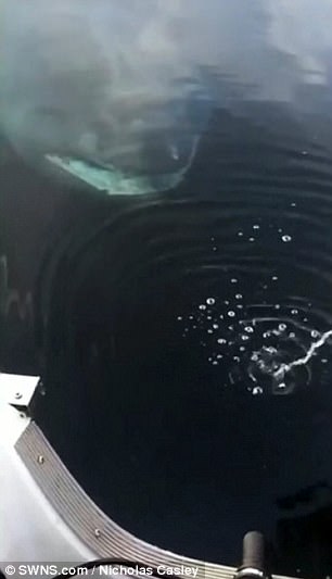黑人强奸日本女优的黄色网站