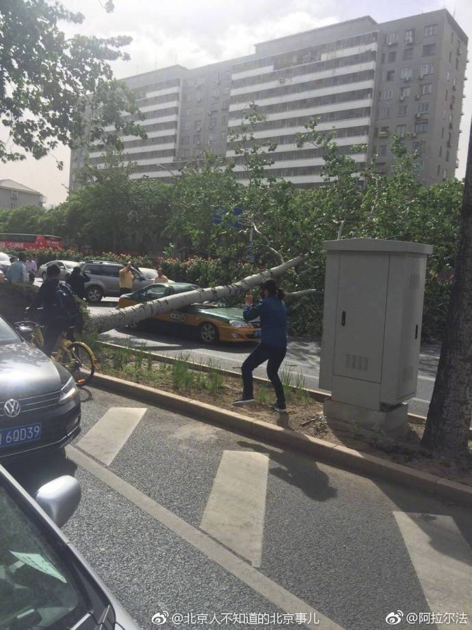 亚洲娇小wite黑人粗大