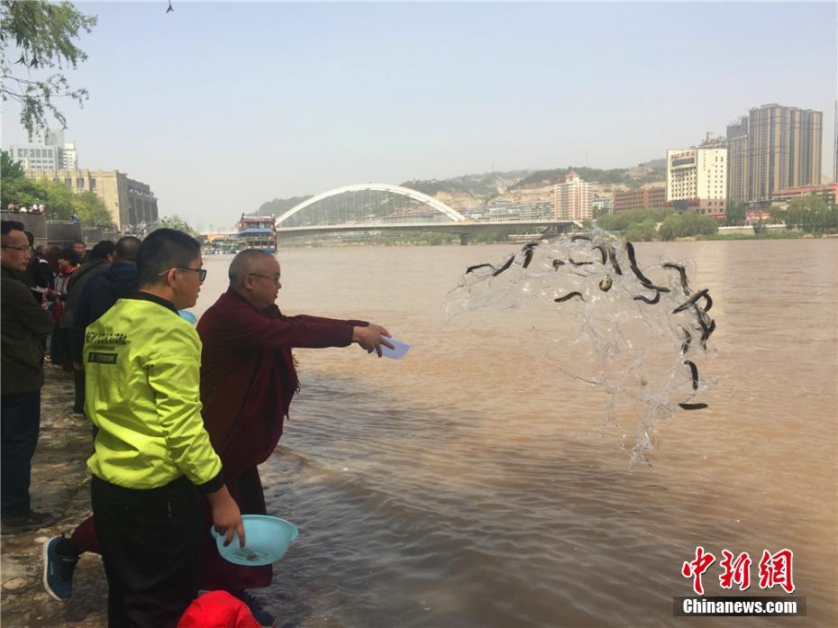 澀谷果步