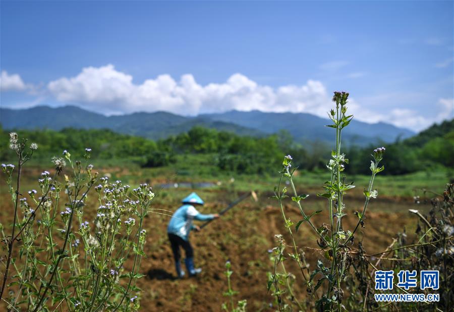 adc影视年龄确认实名认证欢迎大驾光临