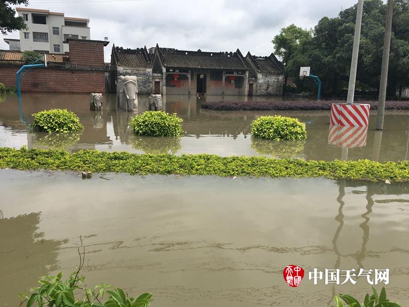 女人趴下脱了内裤光着屁股喷白