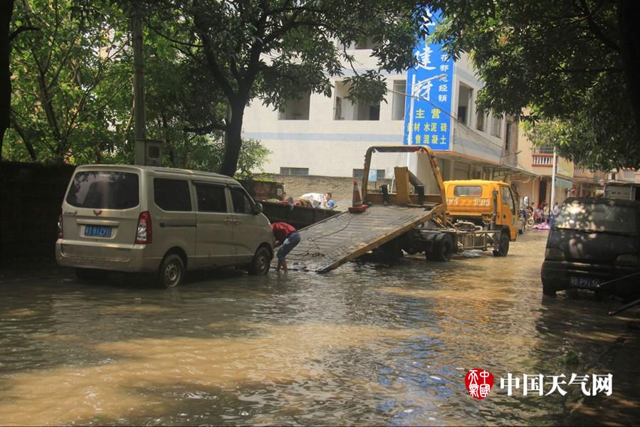 靠逼视频下载
