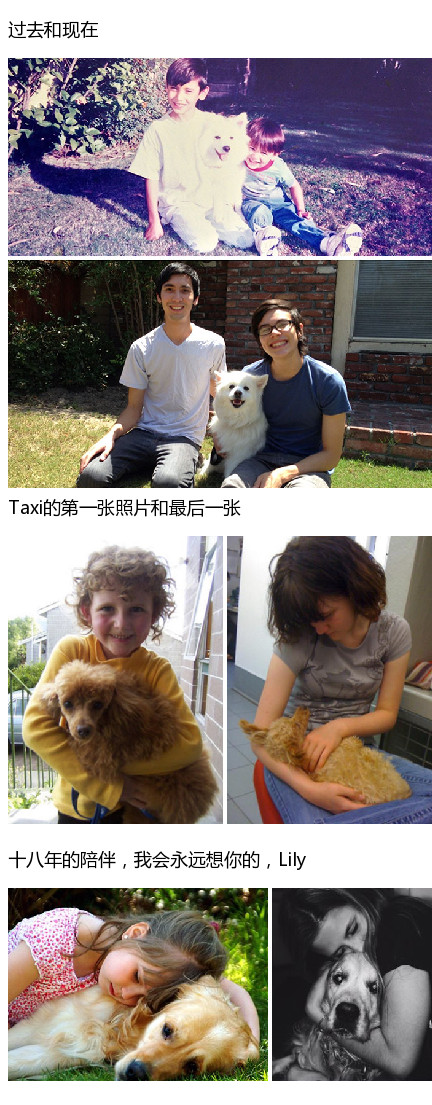 91 国产 爽 黄 在线