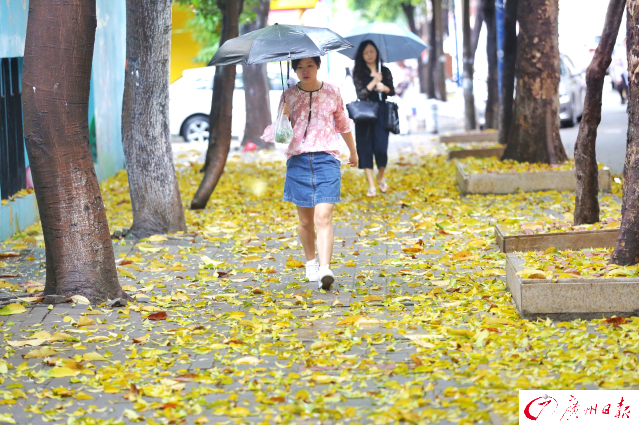 2017年5月7日广州暴雨图片