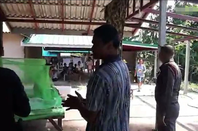 成人黄色电影
