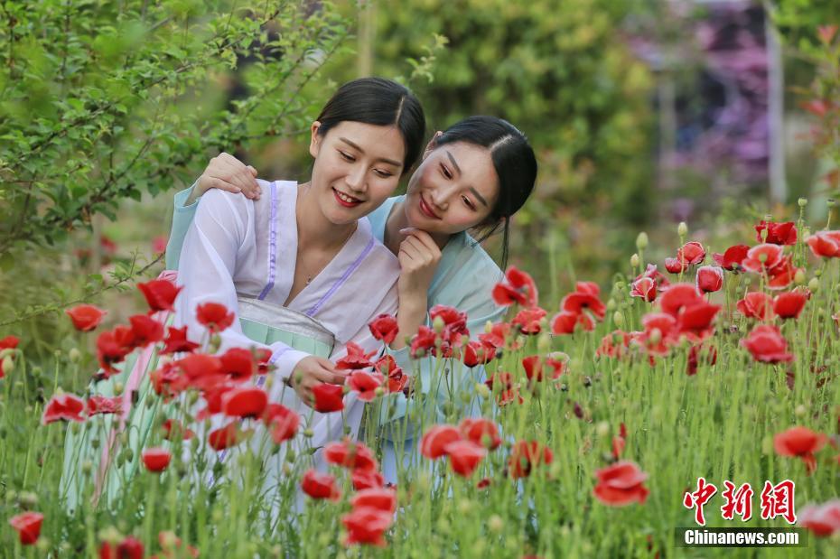熟妇女人妻丰满少妇中…