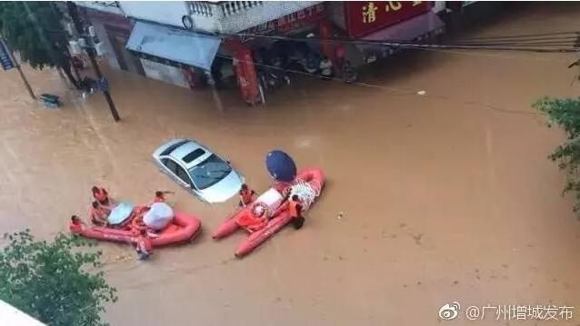看免费黄色的视频