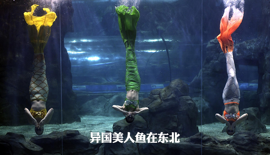 裸睡美人