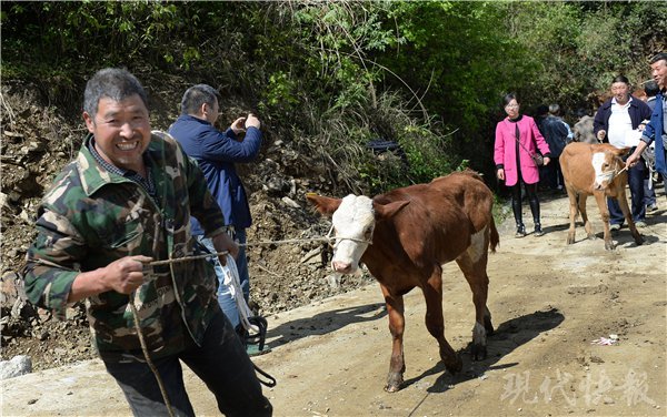 免费 成人 动画