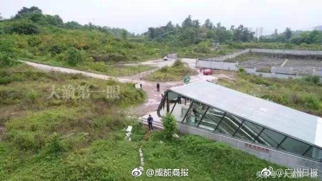 成人圖片