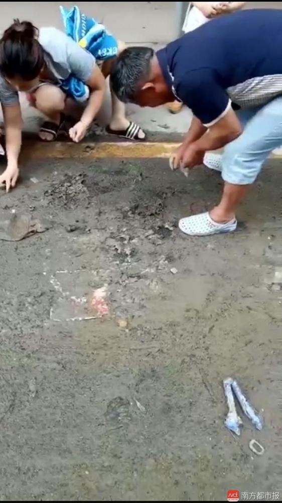 日韩的小黄片视频