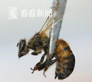 帅哥洗澡搞鸡偷拍