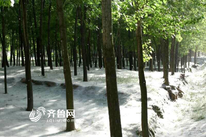 这里只有精品视频