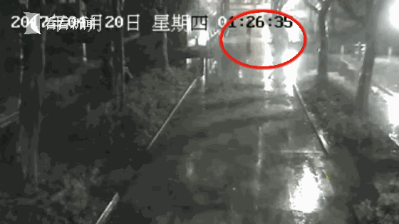 寡妇高潮一级毛片免费看