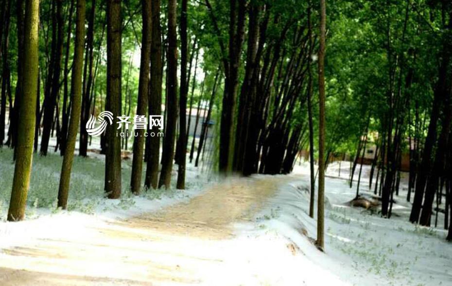 扒开 狂揉 难受公交车男男