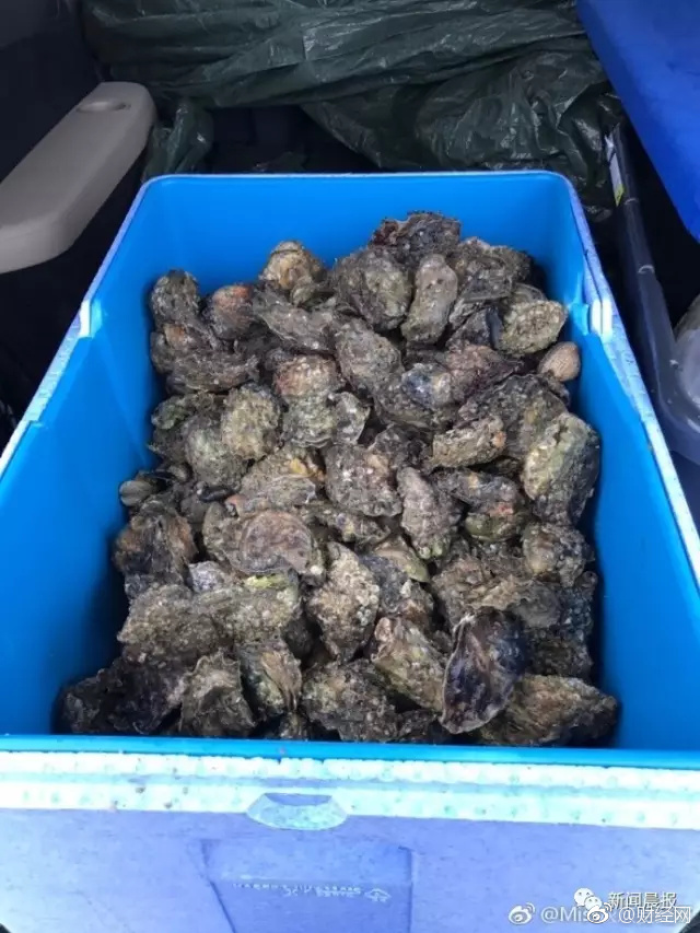 校花被 出乳白色液体电影