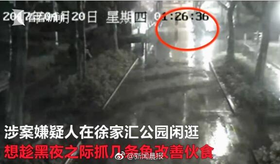 国产精品久久久久久久久久久免费看