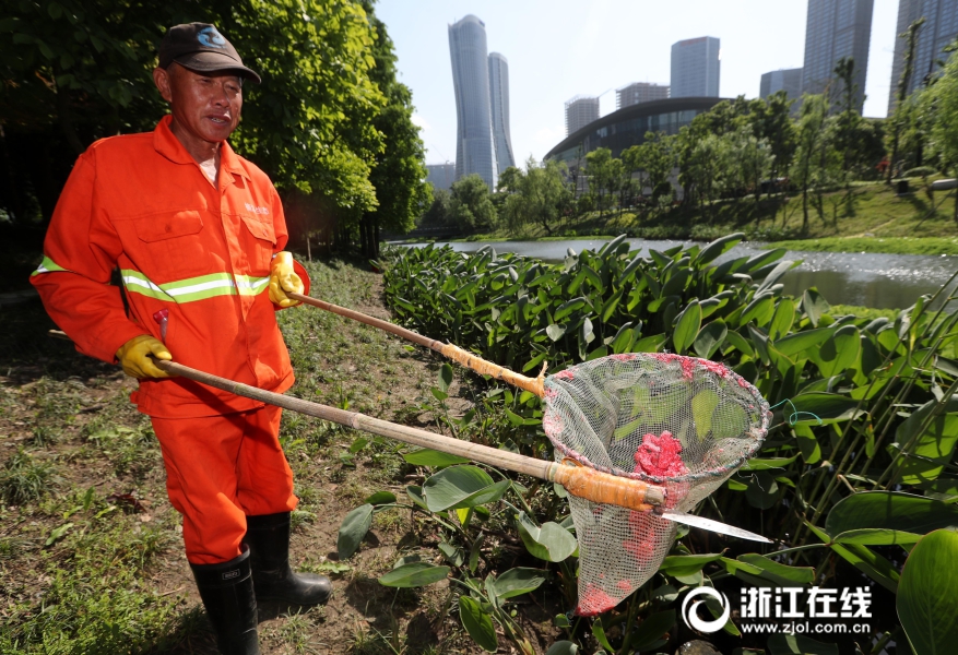 台湾混血