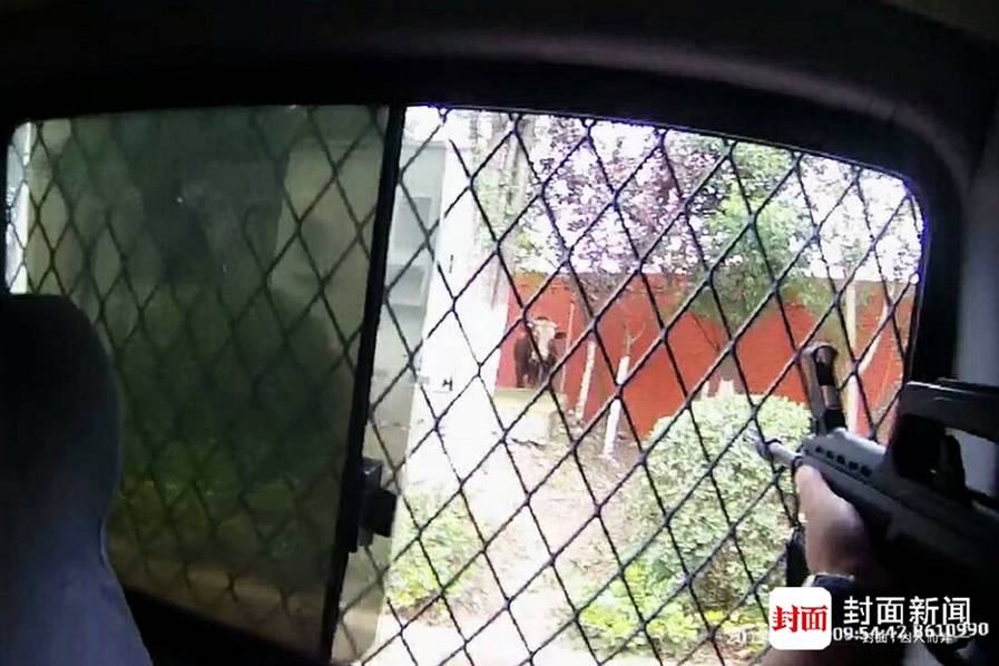 亚洲第一毛片