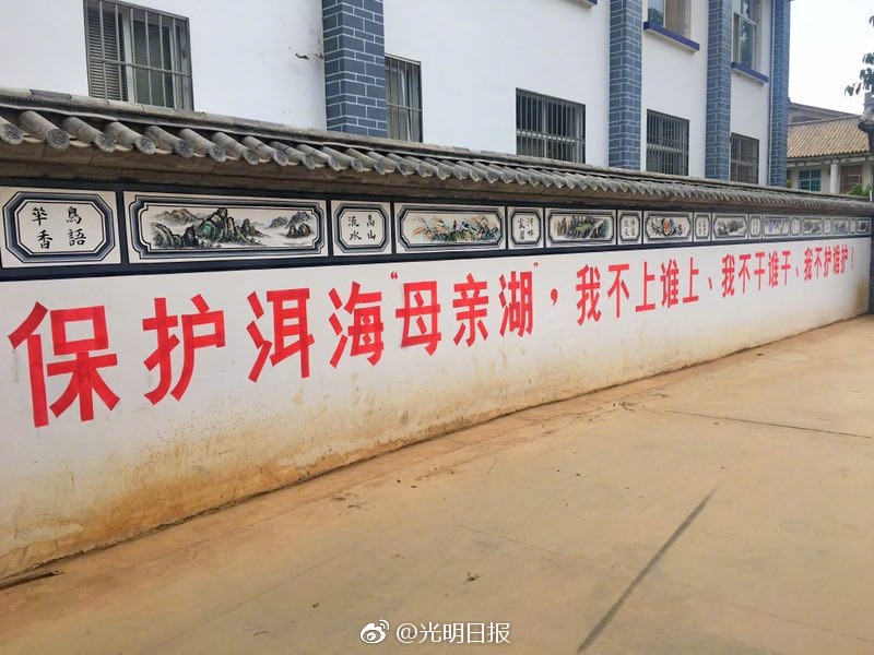 欧美一级大片