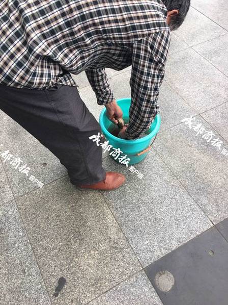 中文字幕一二三区