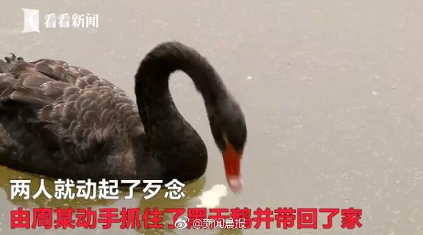 国模杨依露黑森林150P