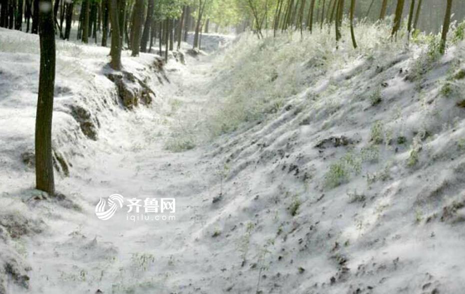 欧美一级特黄大片做受全部脱