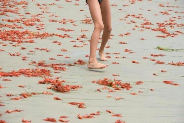 佐倉由美子