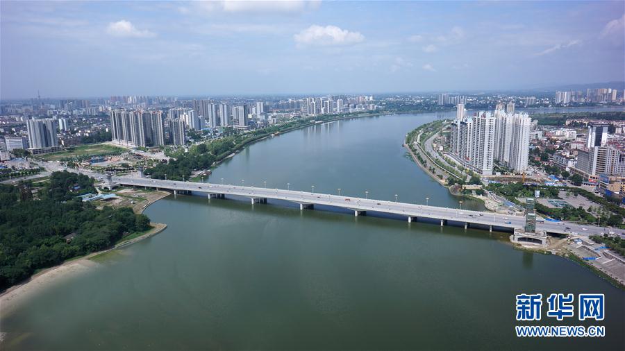 兽皇色情片